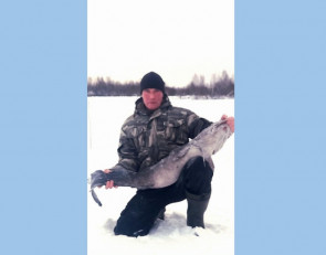 рыбак поймал налима