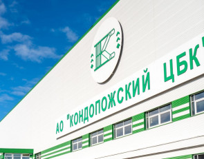 Кондопожский ЦБК меняет стратегию