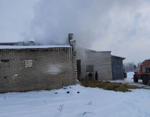 Пожар в Пряже