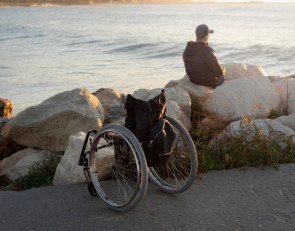 инвалидное кресло у моря