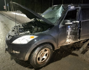 автомобиль_гаи