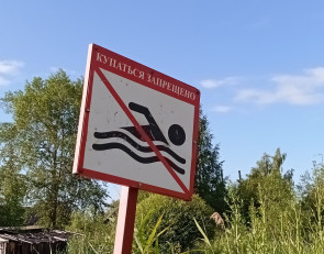 табличка купание запрещено