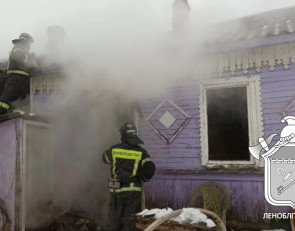 Пожар в Ленобласти