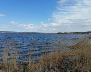 Озеро в Карелии