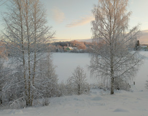 снег_зима_мороз