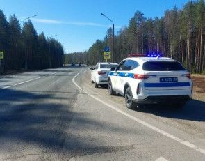 дорога_гаи_рейд