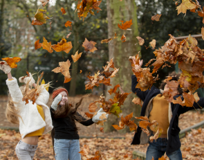осенние листья