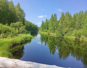 солнечный день