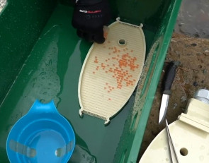 инкубатор_икра