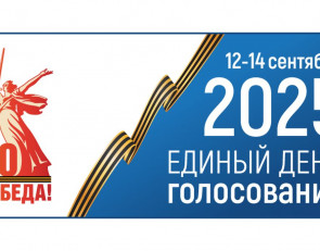 логотип выборы
