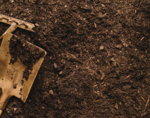 Лопата_грабли_субботник