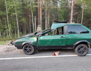 Автомобиль сбил лося