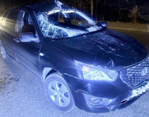 ДТП в Прионежье