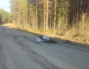 ДТП в Лоухском районе