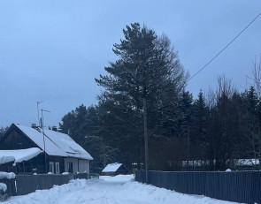 Улица на окраине поселка Матросы