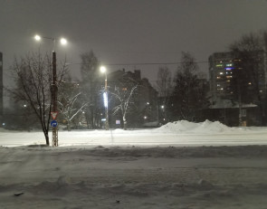 метель в Птз