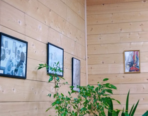 Выставка Мирославы Полевой в Ведлозере