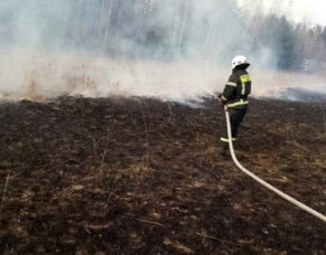 пожар_трава_поле