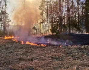 пожар_огонь_трава_весна