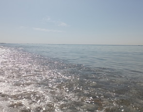Черное море