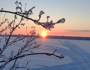 зимнее солнце