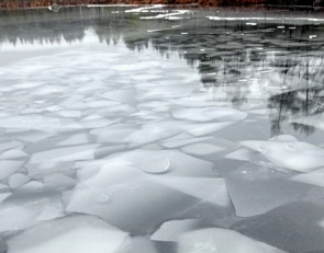 Необычный мраморный лед на озере