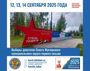 голосование в муезерском мо