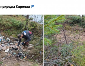 свалка отходов