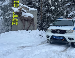 Полиция в лесу