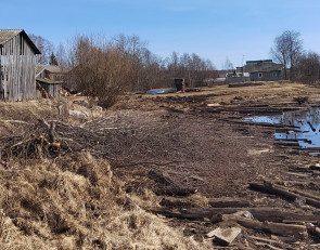 На берегу реки Водла