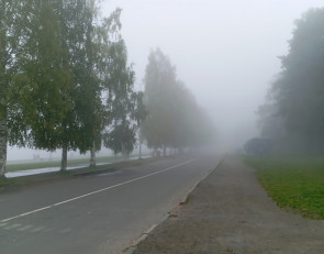 туман