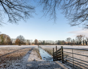 весна_поле_снег
