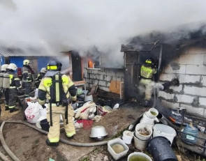 Пожар с собаками