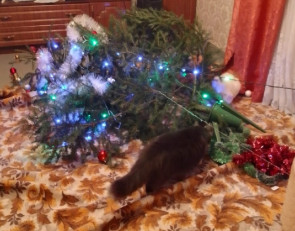 упавшая новогодняя елка