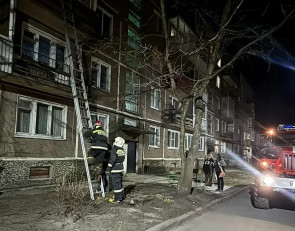 Пожарные в Олонце