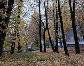 Осень в городе