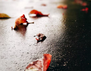 Осень в городе