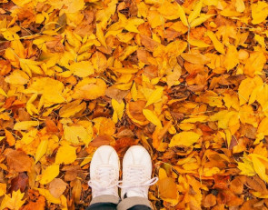 Осень в городе