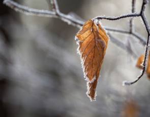 Осень в городе