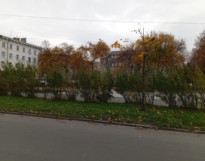 осенняя улица