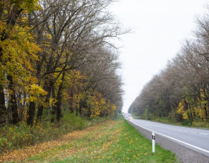 дорога
