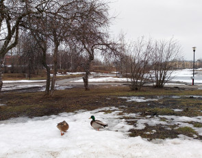 весна_Петрозаводск