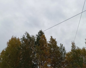 деревья осенью