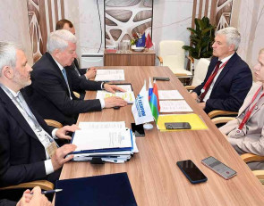 парфенчиков и делегация газпром_правительство