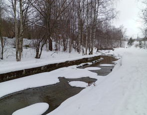 зимний парк и речка