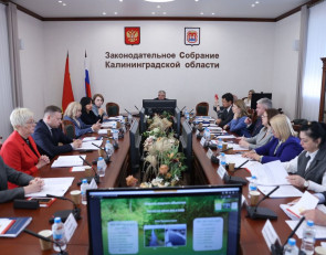 Парламентский комитет