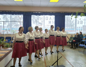 Танцевальное представление в Крошнозере