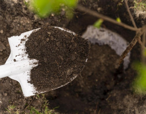 лопата_поискови_дача