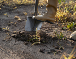 лопата_поисковик