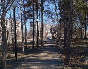 Кукковский петух